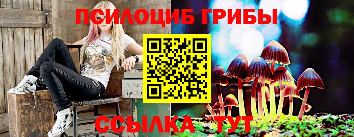 Ржев  Галлюциногенные грибы Magic Shrooms  Вход с VPN  Псилоцибиновые грибы Magic Shrooms 